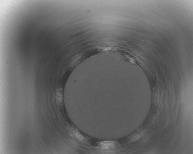 X0000068260085200605051800