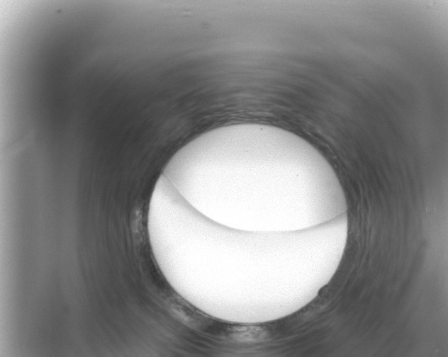 X0000068260087200605051800