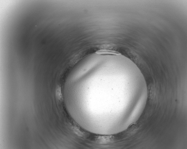 X0000068260089200605051800