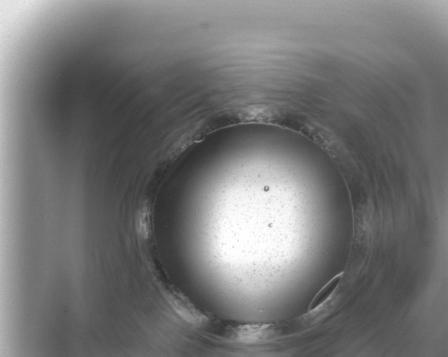 X0000068260090200605051800