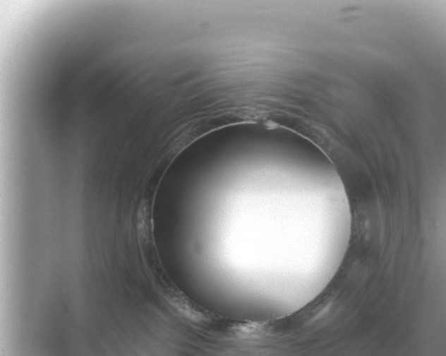 X0000068260092200605051800