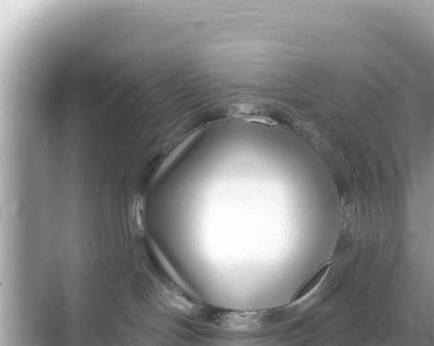 X0000068260094200605051800