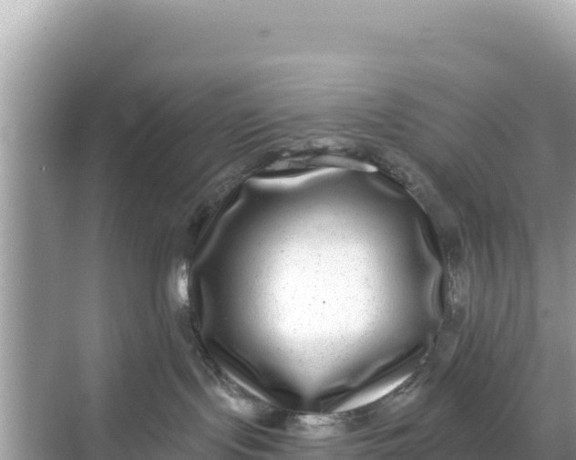 X0000068260095200605051800