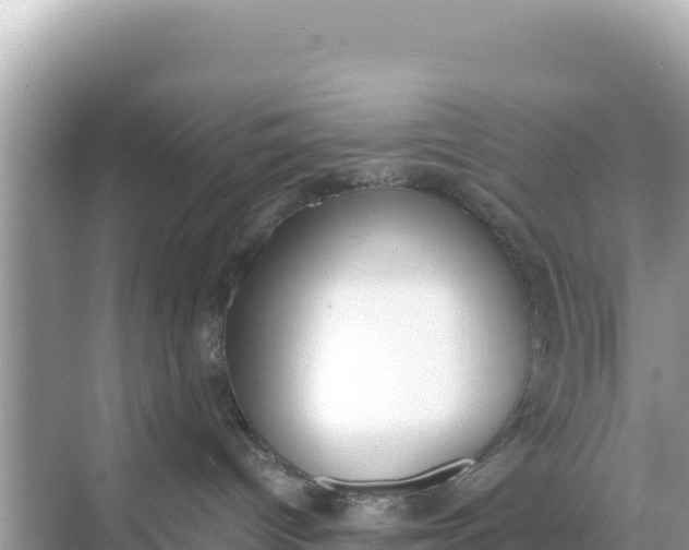 X0000068260096200605051800