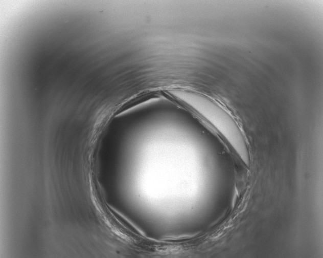 X0000068260097200605051759