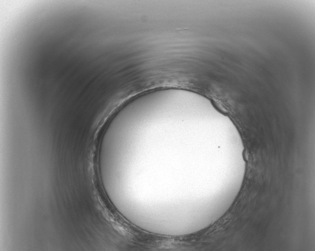 X0000068260098200605051759