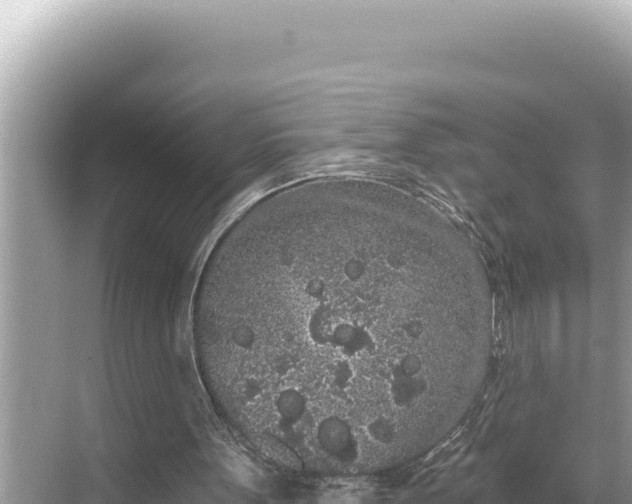 X0000068260099200605051759