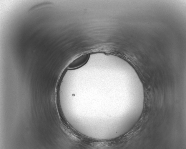 X0000068260100200605051759