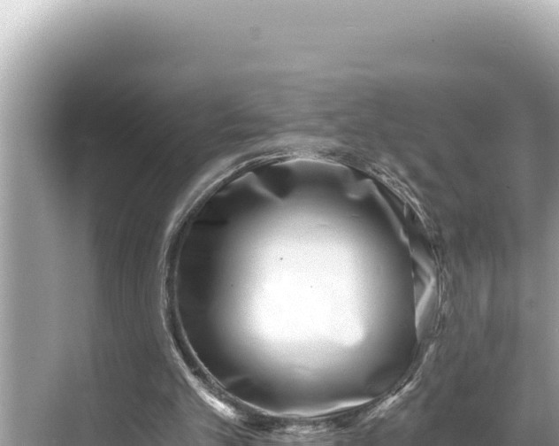 X0000068260101200605051759