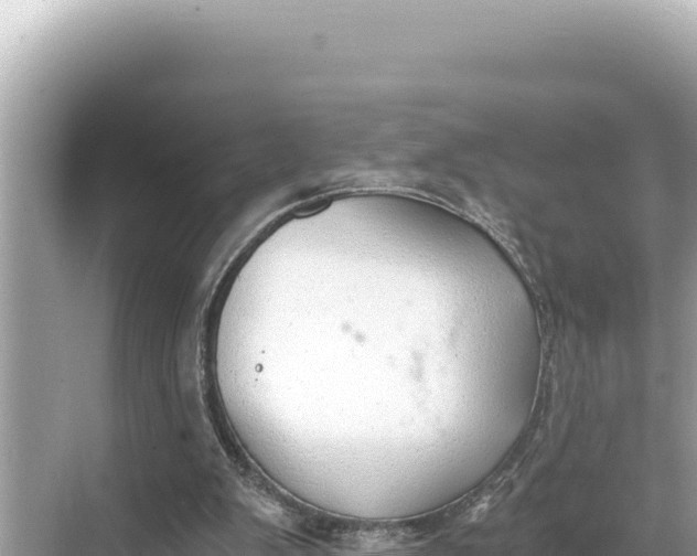 X0000068260103200605051759