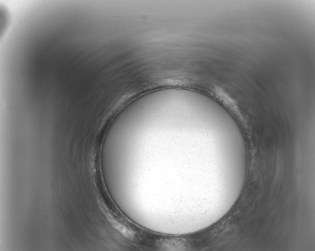 X0000068260106200605051759