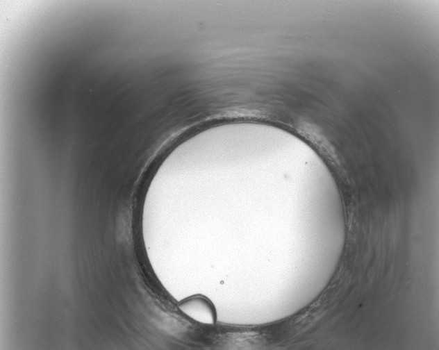 X0000068260108200605051759