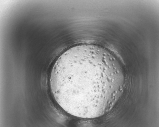 X0000068260110200605051759