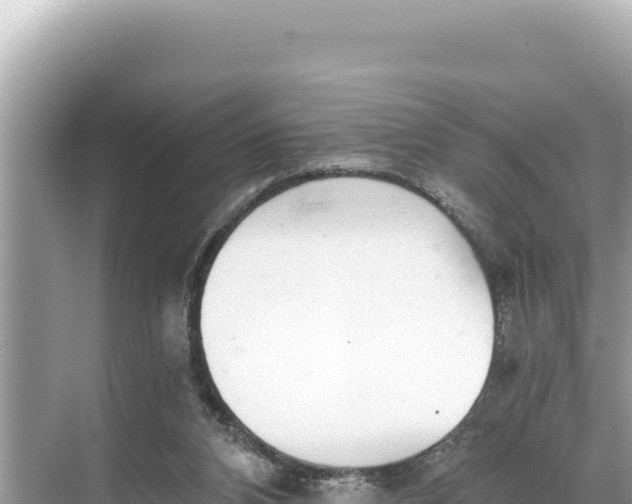 X0000068260112200605051759