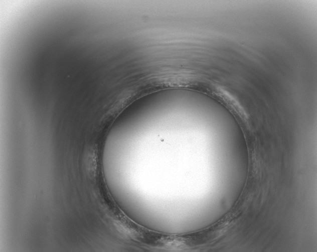 X0000068260113200605051759