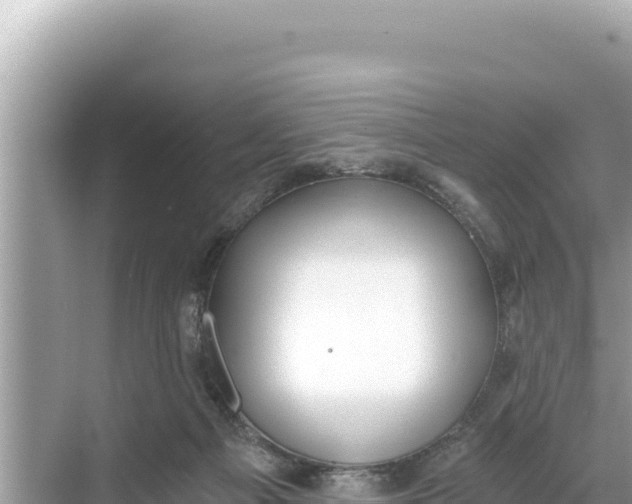 X0000068260121200605051759