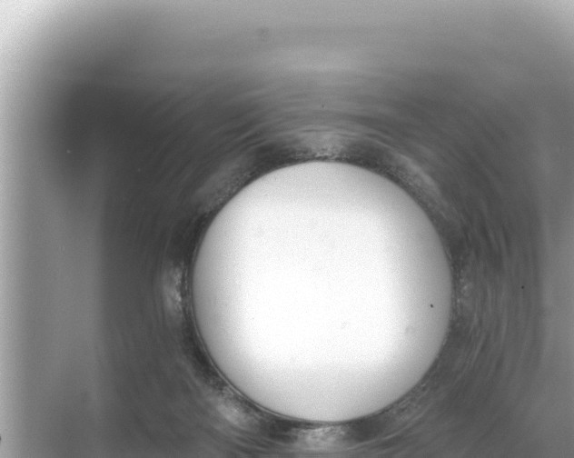 X0000068260122200605051759