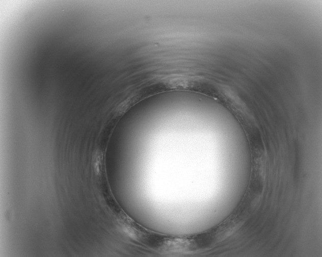 X0000068260125200605051759