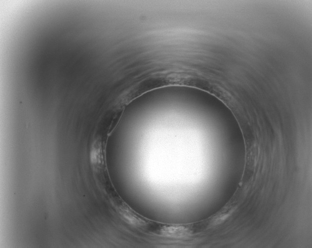 X0000068260137200605051759