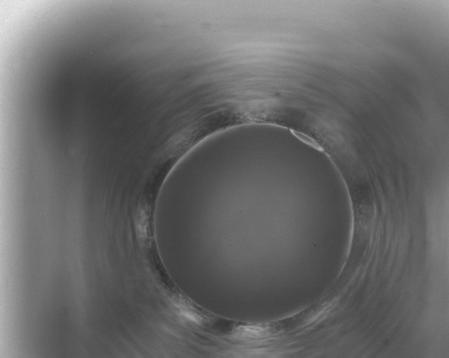 X0000068260139200605051759