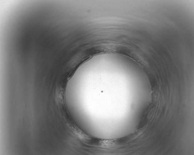 X0000068260141200605051759