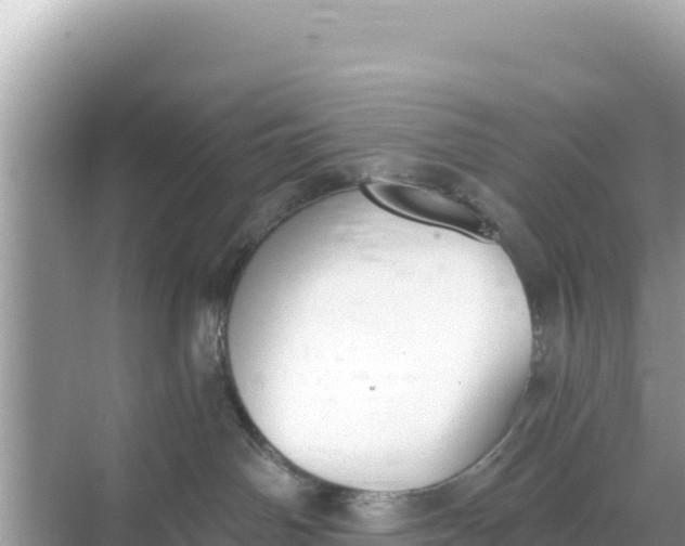 X0000068260142200605051759