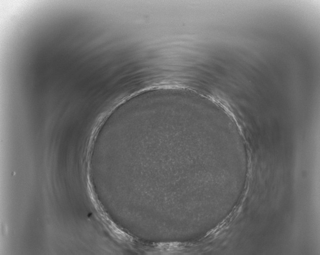 X0000068260145200605051758