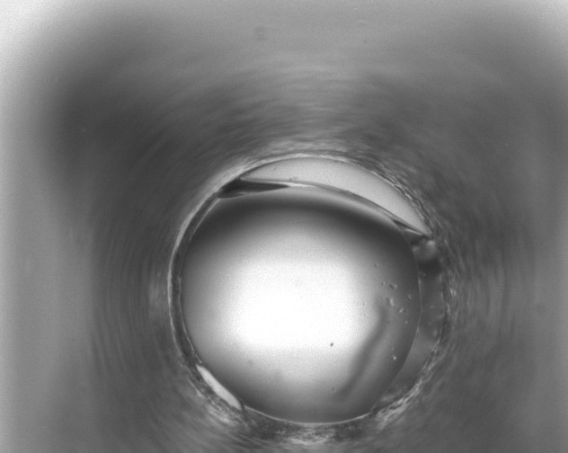 X0000068260148200605051758