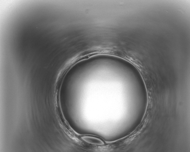 X0000068260149200605051758