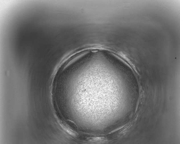 X0000068260151200605051758