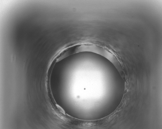 X0000068260152200605051758