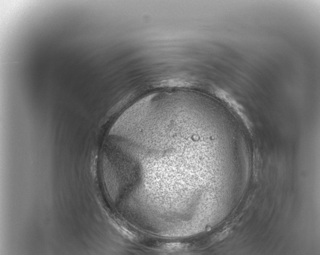 X0000068260153200605051758