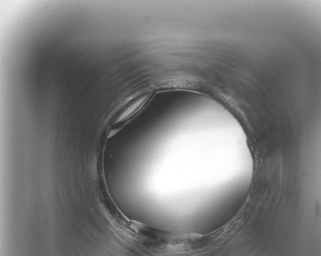 X0000068260154200605051758