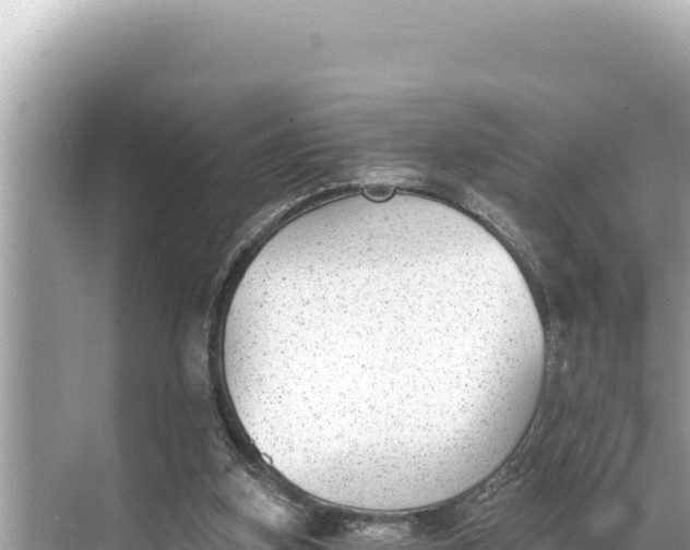 X0000068260155200605051758