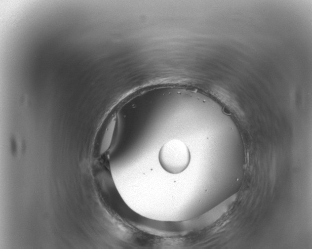 X0000068260156200605051758