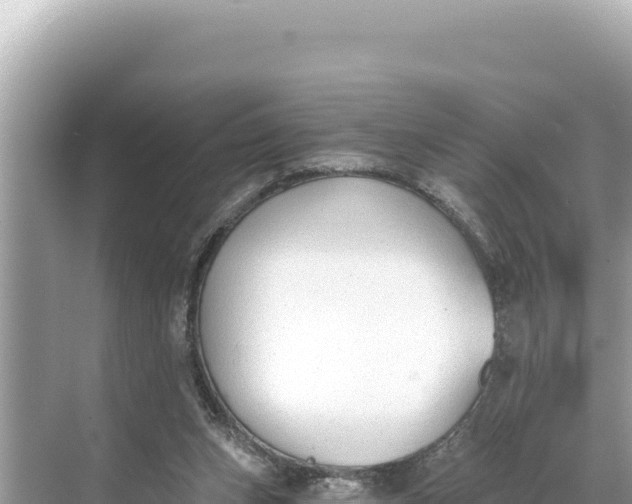 X0000068260159200605051758