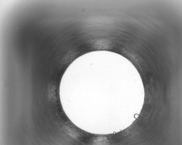 X0000068260162200605051758