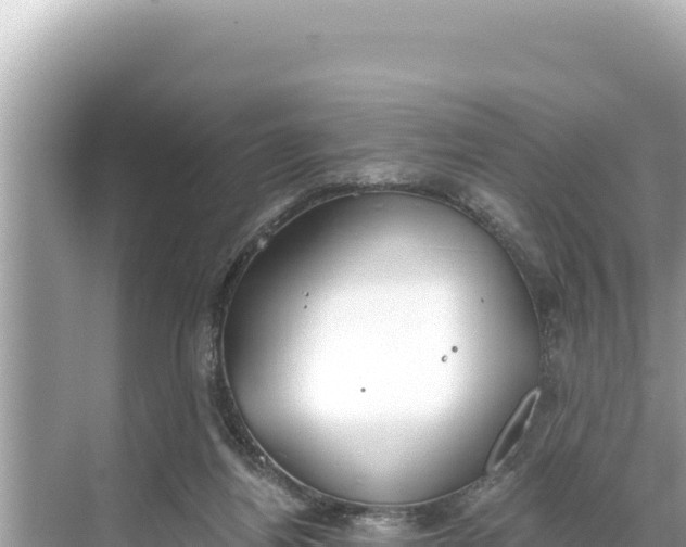 X0000068260164200605051758