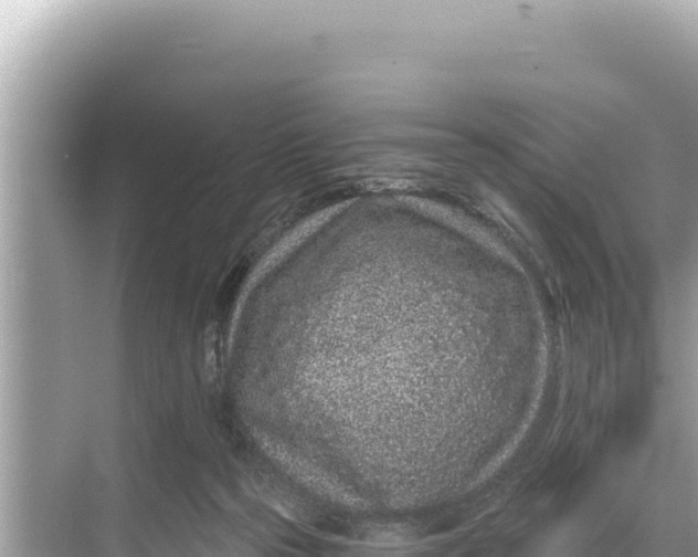 X0000068260169200605051758