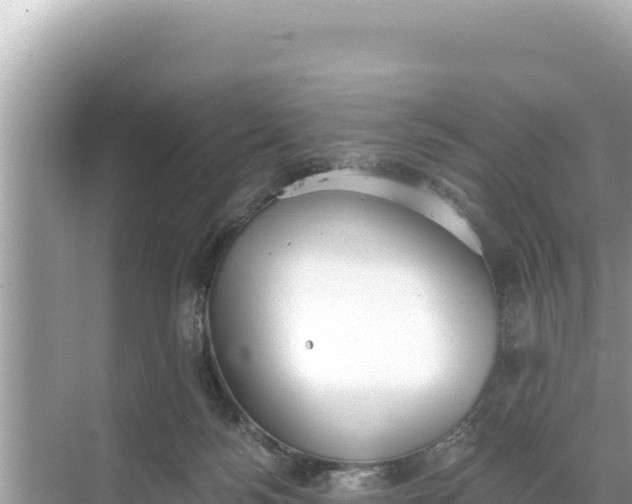 X0000068260172200605051758