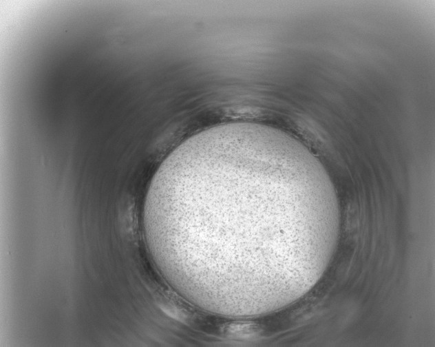 X0000068260173200605051758