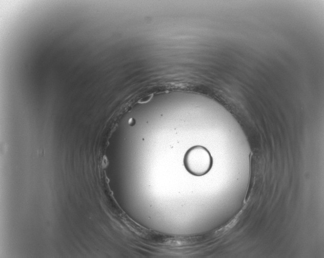 X0000068260174200605051758