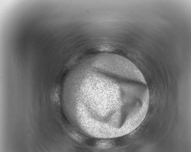 X0000068260175200605051758