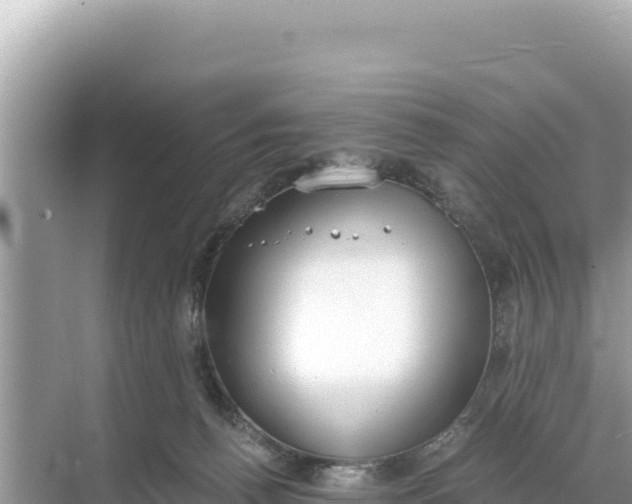 X0000068260176200605051758