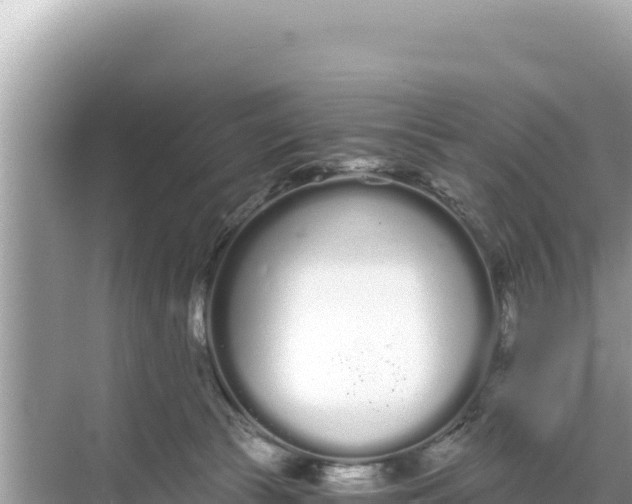 X0000068260177200605051758