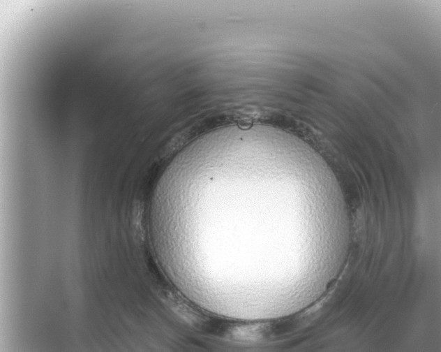 X0000068260178200605051758