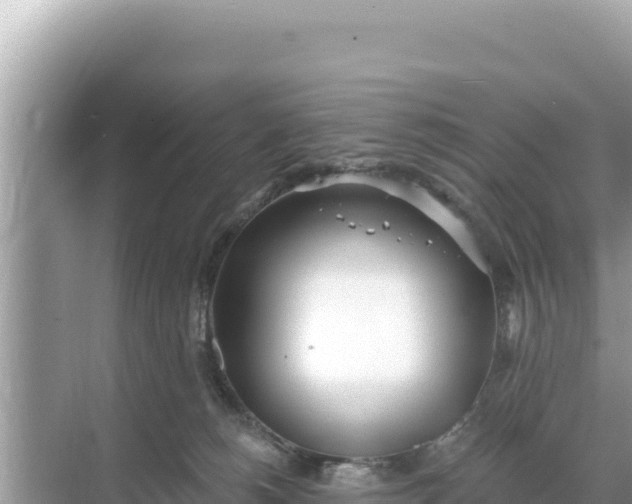 X0000068260180200605051758