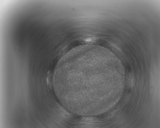 X0000068260181200605051758