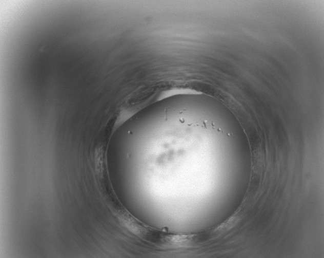 X0000068260184200605051758