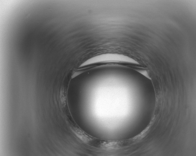 X0000068260186200605051758